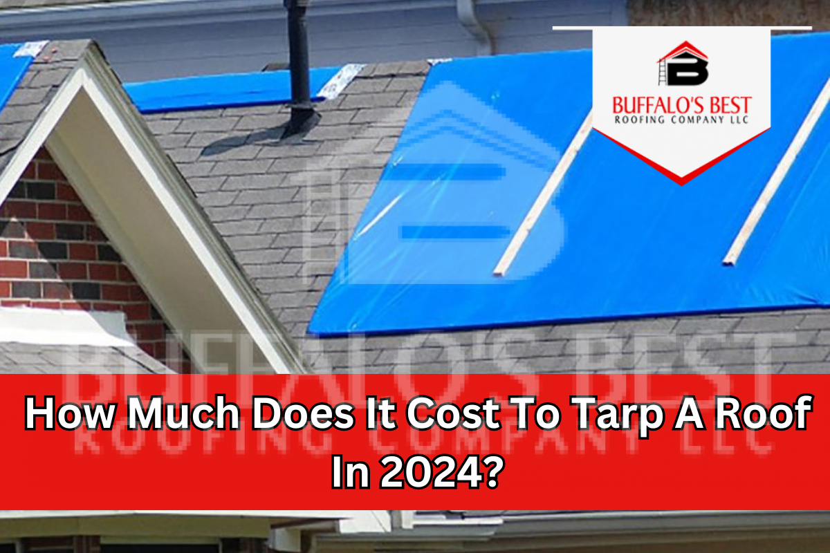 How Much Does It Cost To Tarp A Roof In 2024?